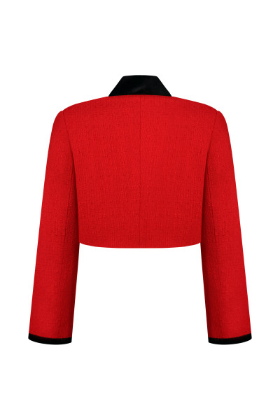 Red Tweed Jacket With Velour #4